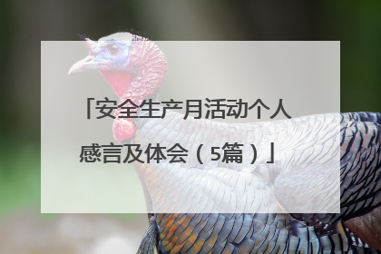 安全生产月活动个人感言及体会（5篇）