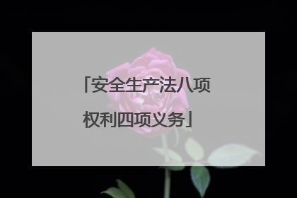 安全生产法八项权利四项义务