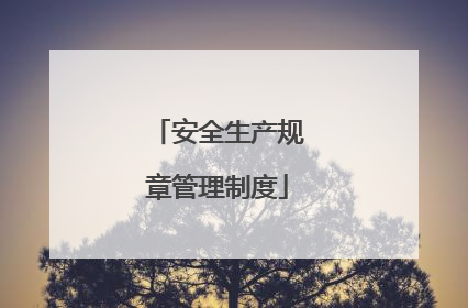 安全生产规章管理制度