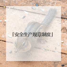 安全生产规章制度
