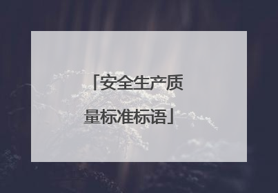 安全生产质量标准标语