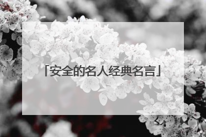 安全的名人经典名言