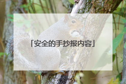安全的手抄报内容