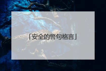 安全的警句格言