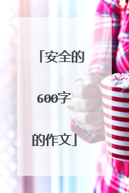 安全的600字的作文