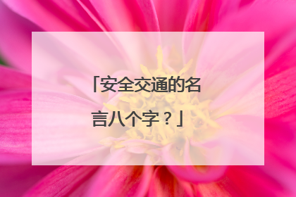 安全交通的名言八个字?