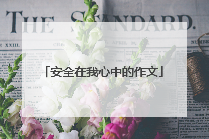 安全在我心中的作文
