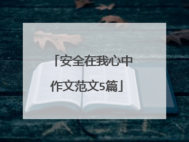 安全在我心中作文范文5篇
