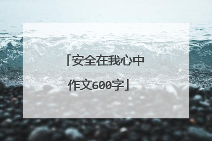 安全在我心中作文600字