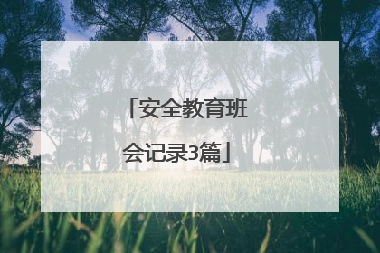 安全教育班会记录3篇
