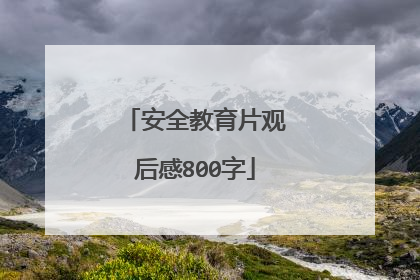 安全教育片观后感800字