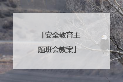 安全教育主题班会教案