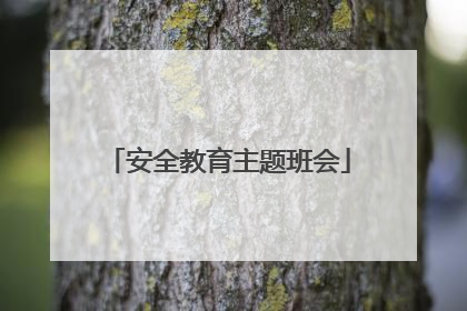 安全教育主题班会