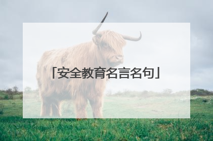 安全教育名言名句