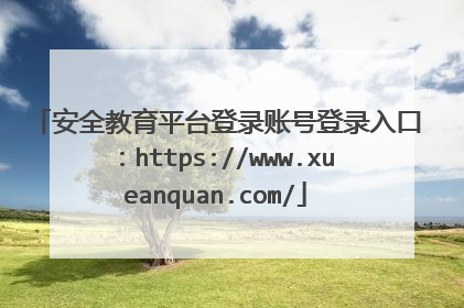 安全教育平台登录账号登录入口：https://www.xueanquan.com/