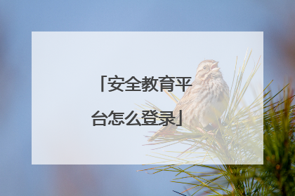 安全教育平台怎么登录