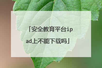 安全教育平台ipad上不能下载吗