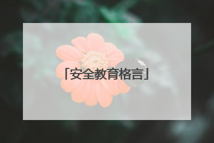 安全教育格言