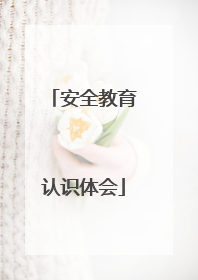 安全教育认识体会