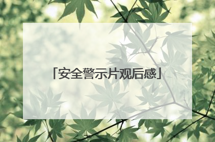 安全警示片观后感