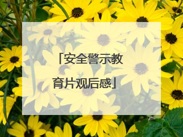 安全警示教育片观后感