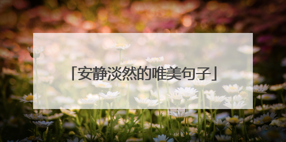 安静淡然的唯美句子