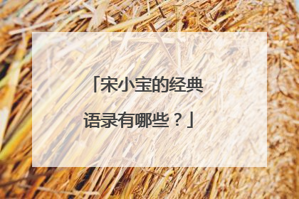 宋小宝的经典语录有哪些?