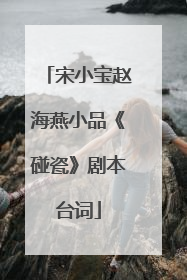 宋小宝赵海燕小品《碰瓷》剧本台词