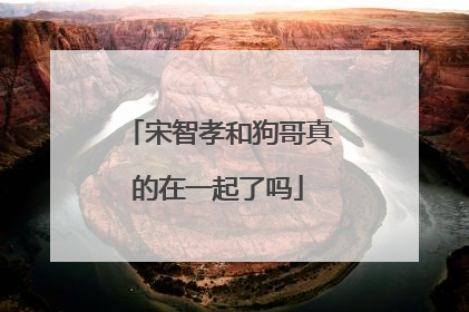 宋智孝和狗哥真的在一起了吗