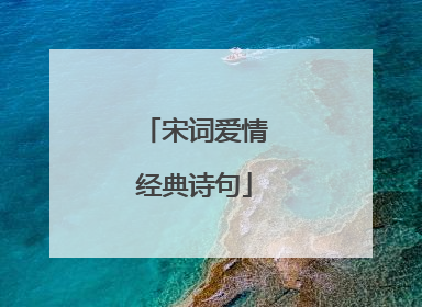 宋词爱情经典诗句