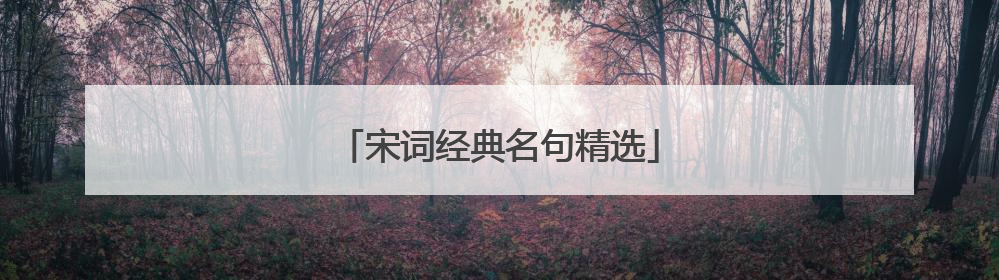 宋词经典名句精选