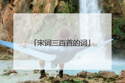 宋词三百首的词