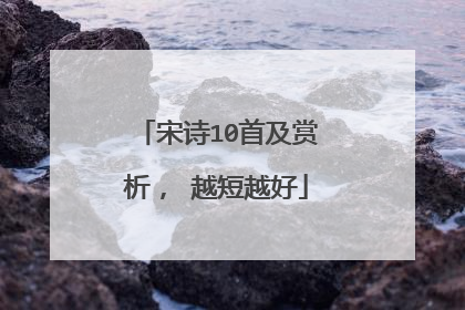 宋诗10首及赏析， 越短越好