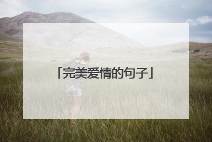 完美爱情的句子