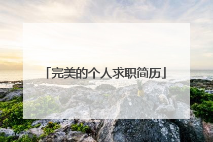 完美的个人求职简历