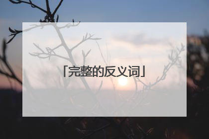 完整的反义词