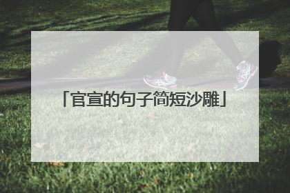 官宣的句子简短沙雕