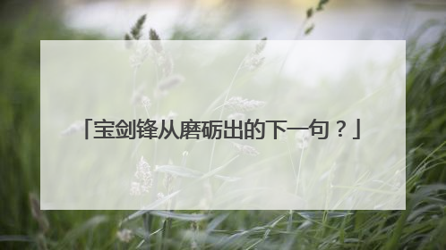 宝剑锋从磨砺出的下一句？