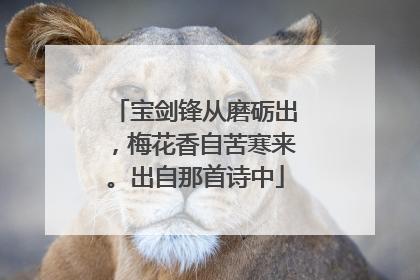 宝剑锋从磨砺出,梅花香自苦寒来。出自那首诗中
