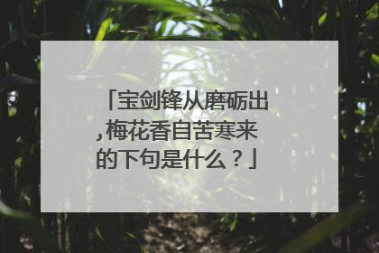 宝剑锋从磨砺出,梅花香自苦寒来的下句是什么?