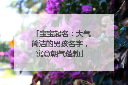 宝宝起名：大气简洁的男孩名字，寓意朝气蓬勃