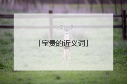 宝贵的近义词