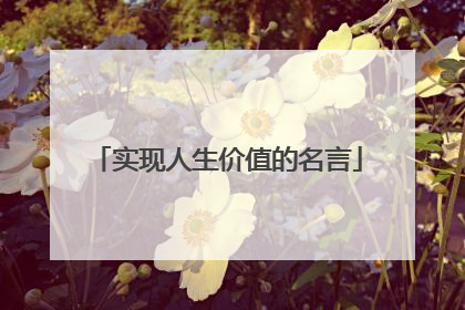 实现人生价值的名言