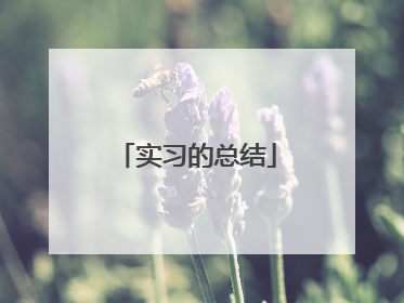 实习的总结