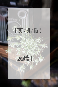 实习周记20篇