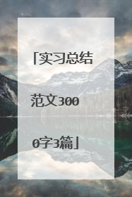 实习总结范文3000字3篇