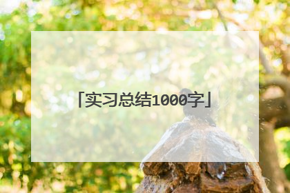 实习总结1000字