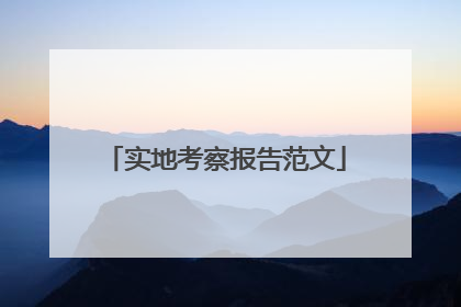 实地考察报告范文