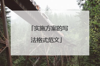 实施方案的写法格式范文