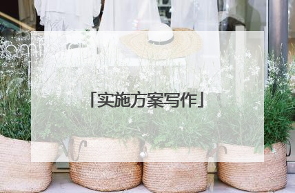 实施方案写作